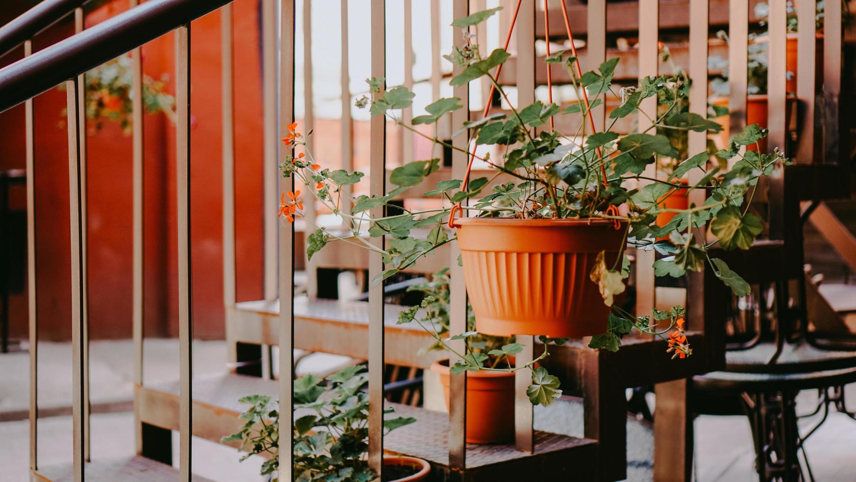 Closeup of railing and steps with flowers photo