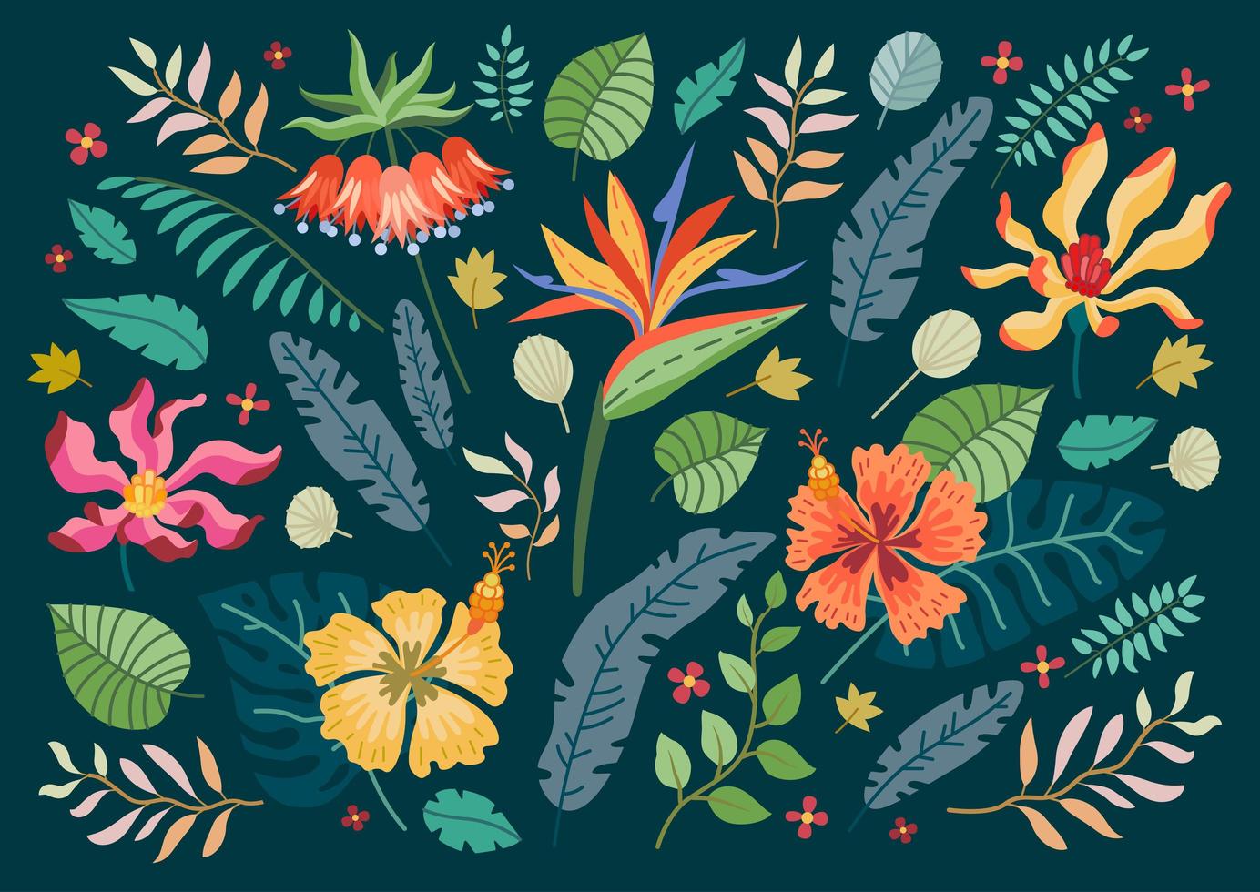 Collection of tropical flowers. A floral set vector