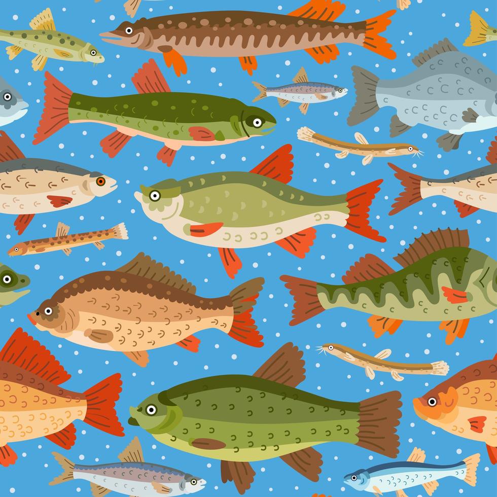 Seamless freshwater fish pattern. A vector seafood