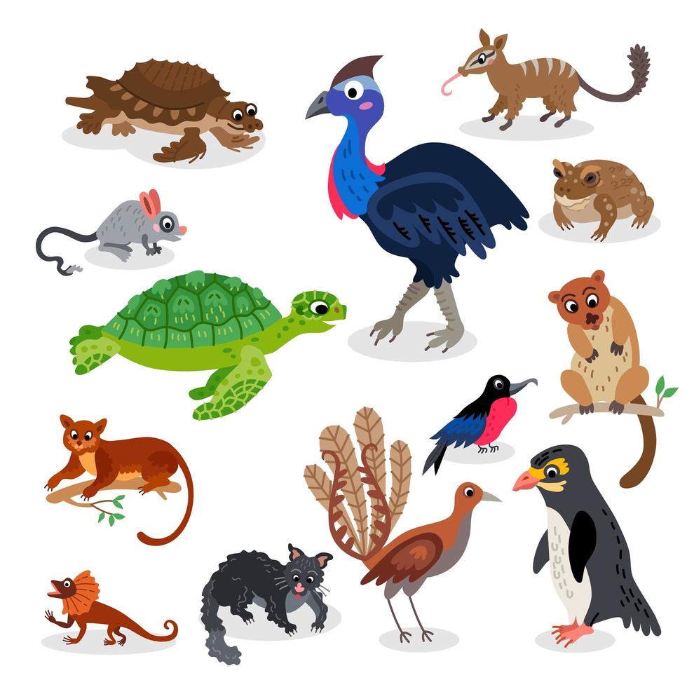 Wild Oceania animals set in flat style vector