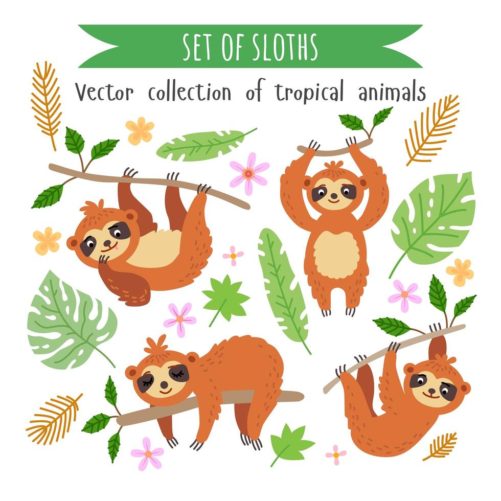 Vector set of sloths isolated on white