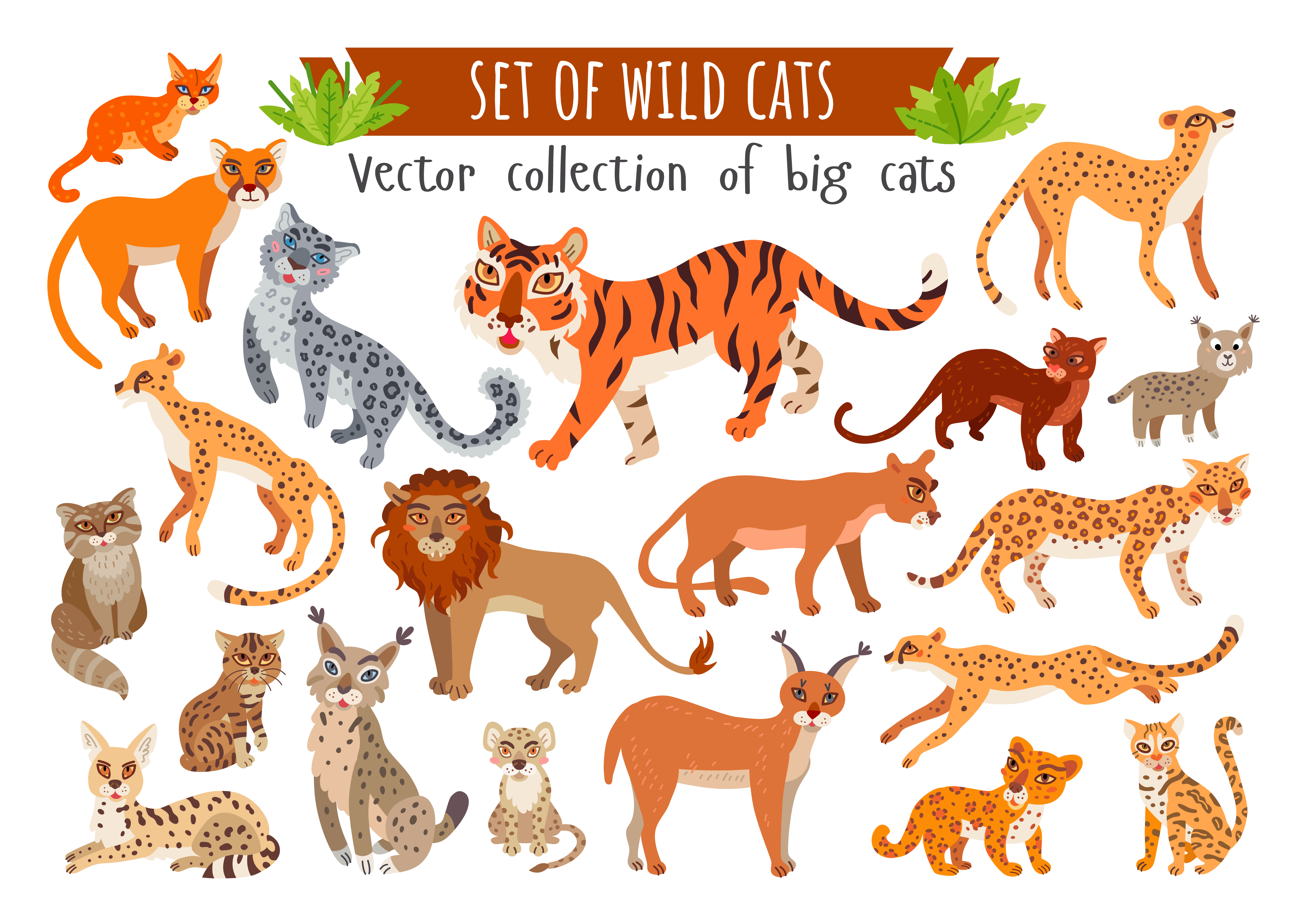 Set of wild cats. Vector cartoon exotic animals 3260915 Vector Art at  Vecteezy
