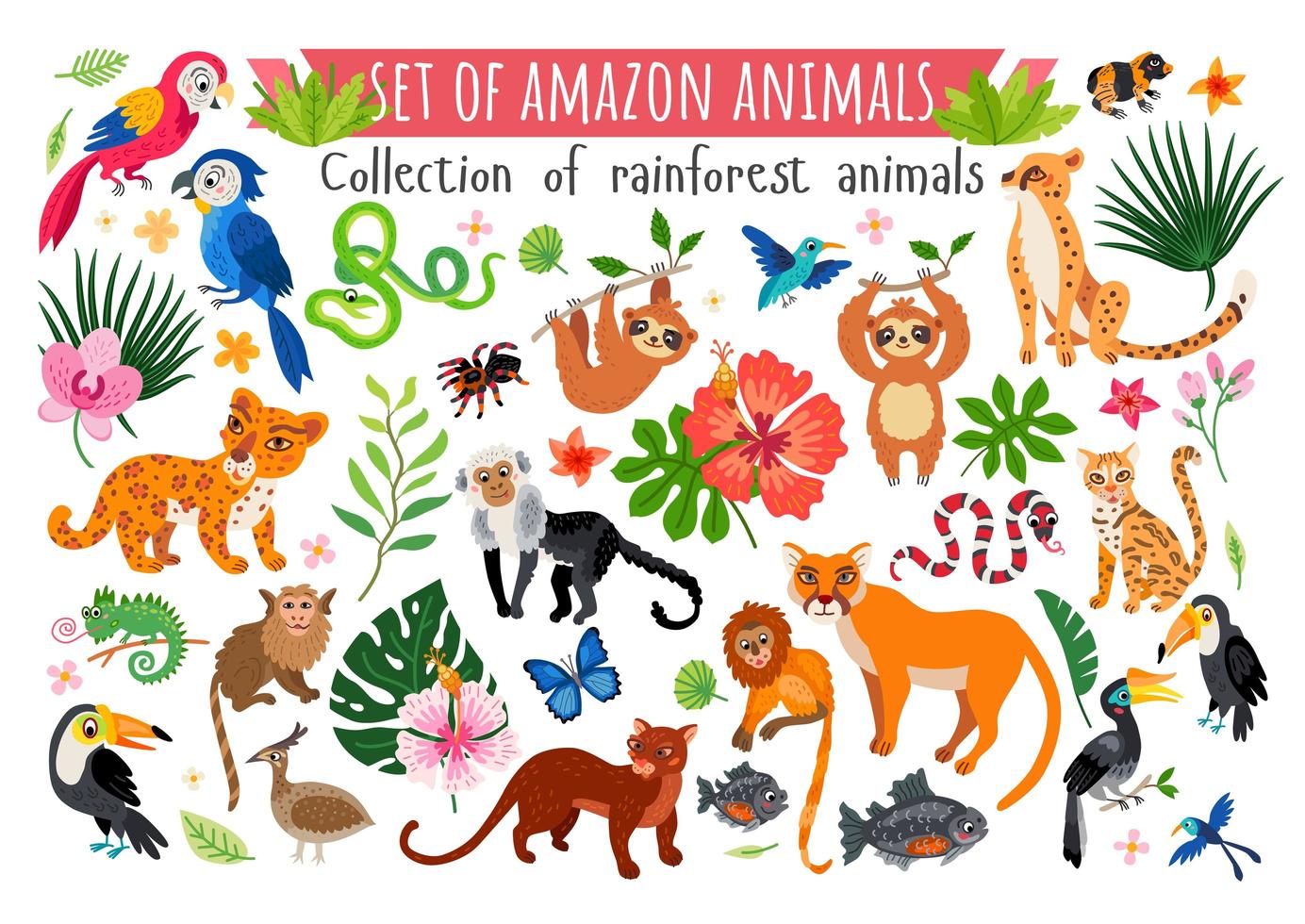 un conjunto de animales de la selva amazónica. vector