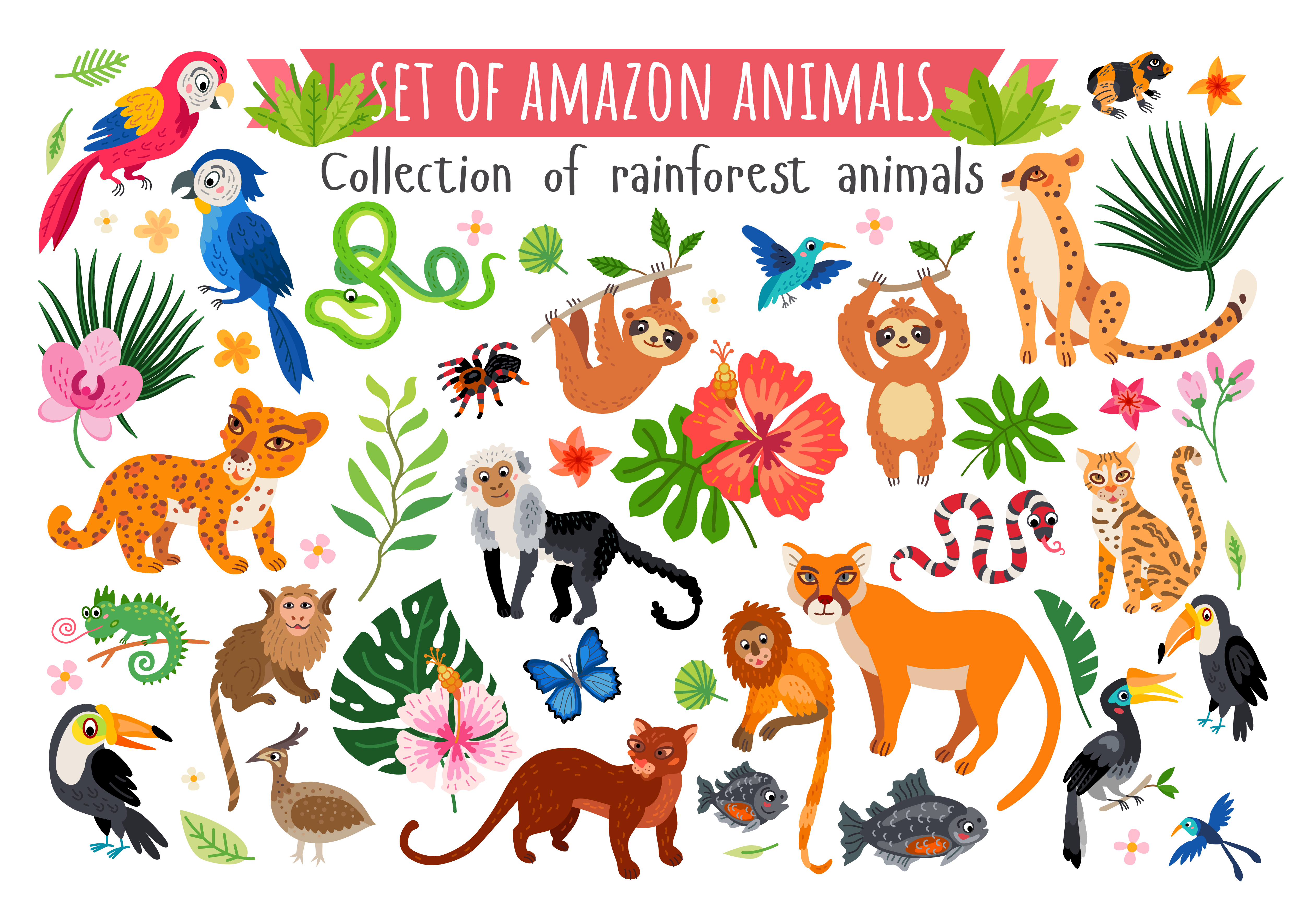 An Amazon rainforest jungle animals set. Vector 3260925 Vector Art at  Vecteezy
