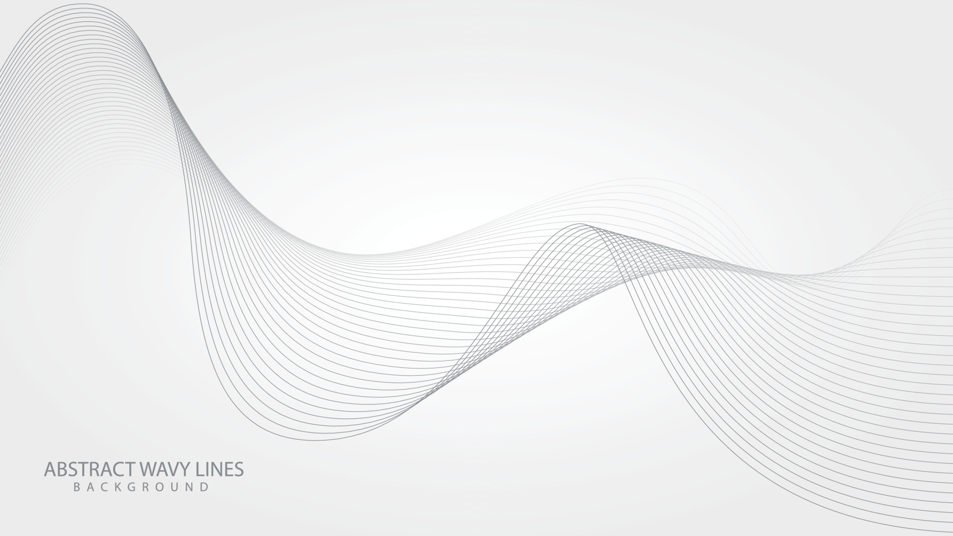 Abstract Elegant White Background With Flowing Line Waves 3262293