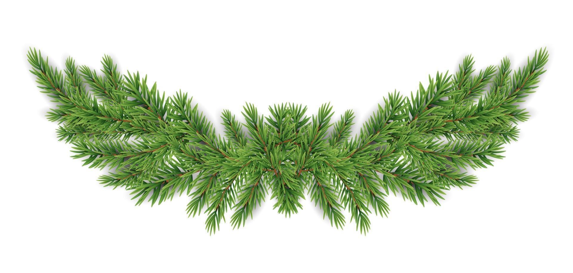 Christmas and New year realistic garland of fir branches. vector