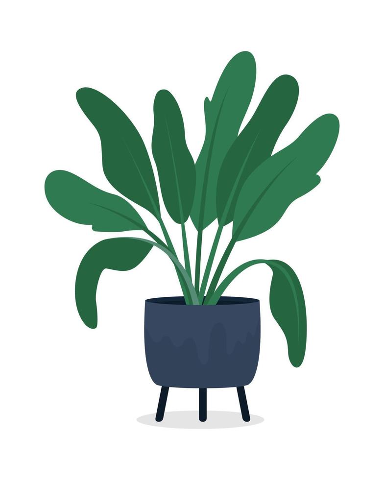 planta de interior dieffenbachia en maceta objeto vectorial de color semi plano vector