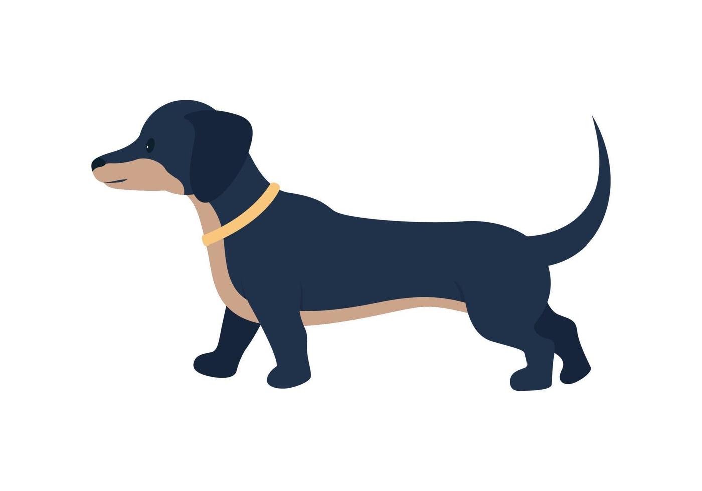 Adopting dachshund dog semi flat color vector character