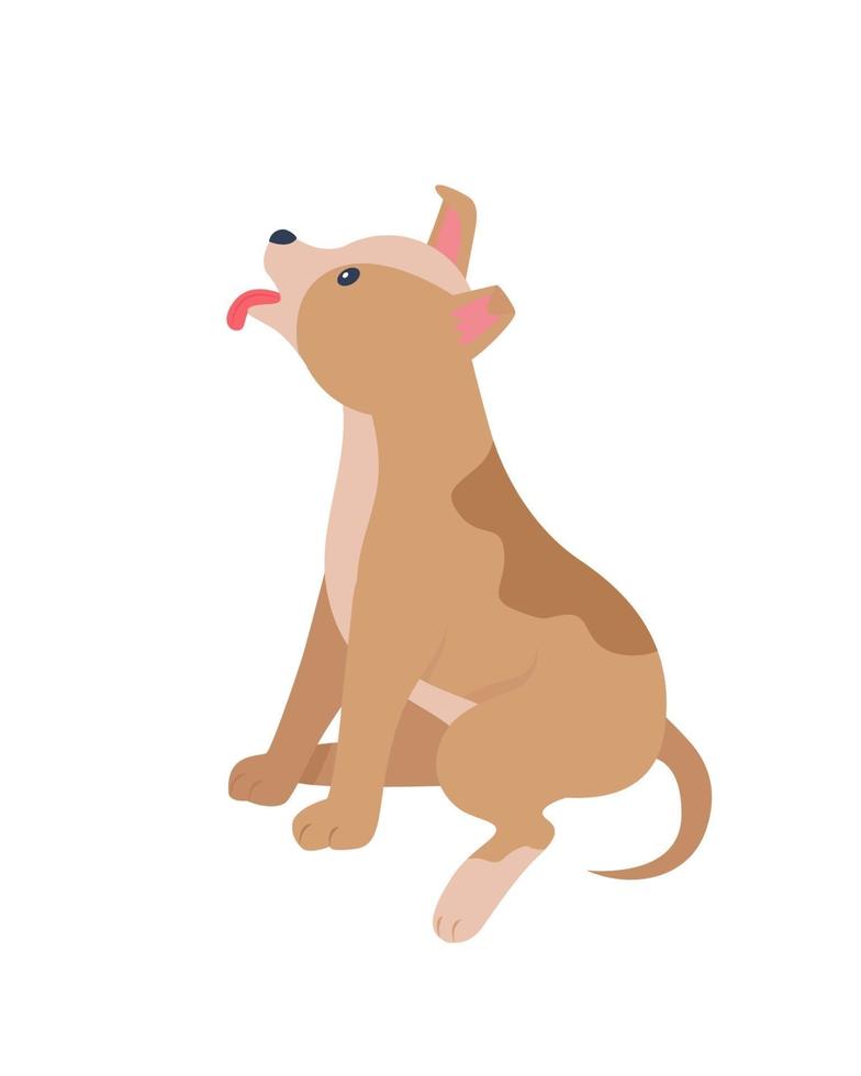 Adopt puppy from abroad semi flat color vector character