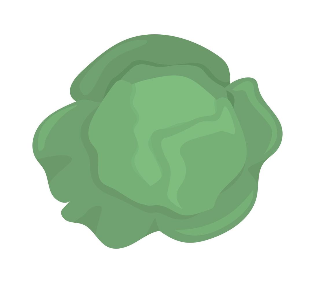 Fresh cabbage semi flat color vector object