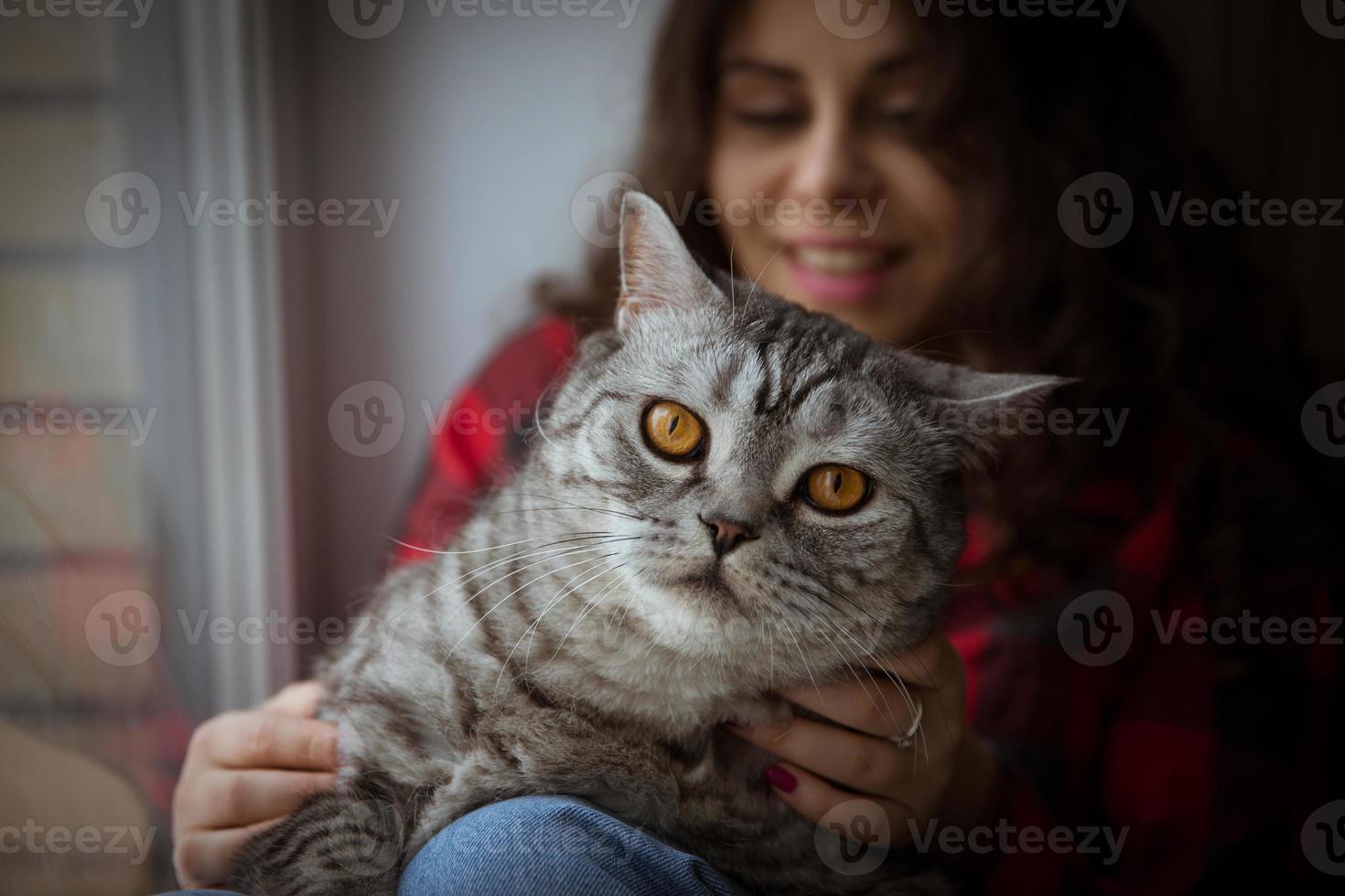 gato grande en el regazo de la niña foto