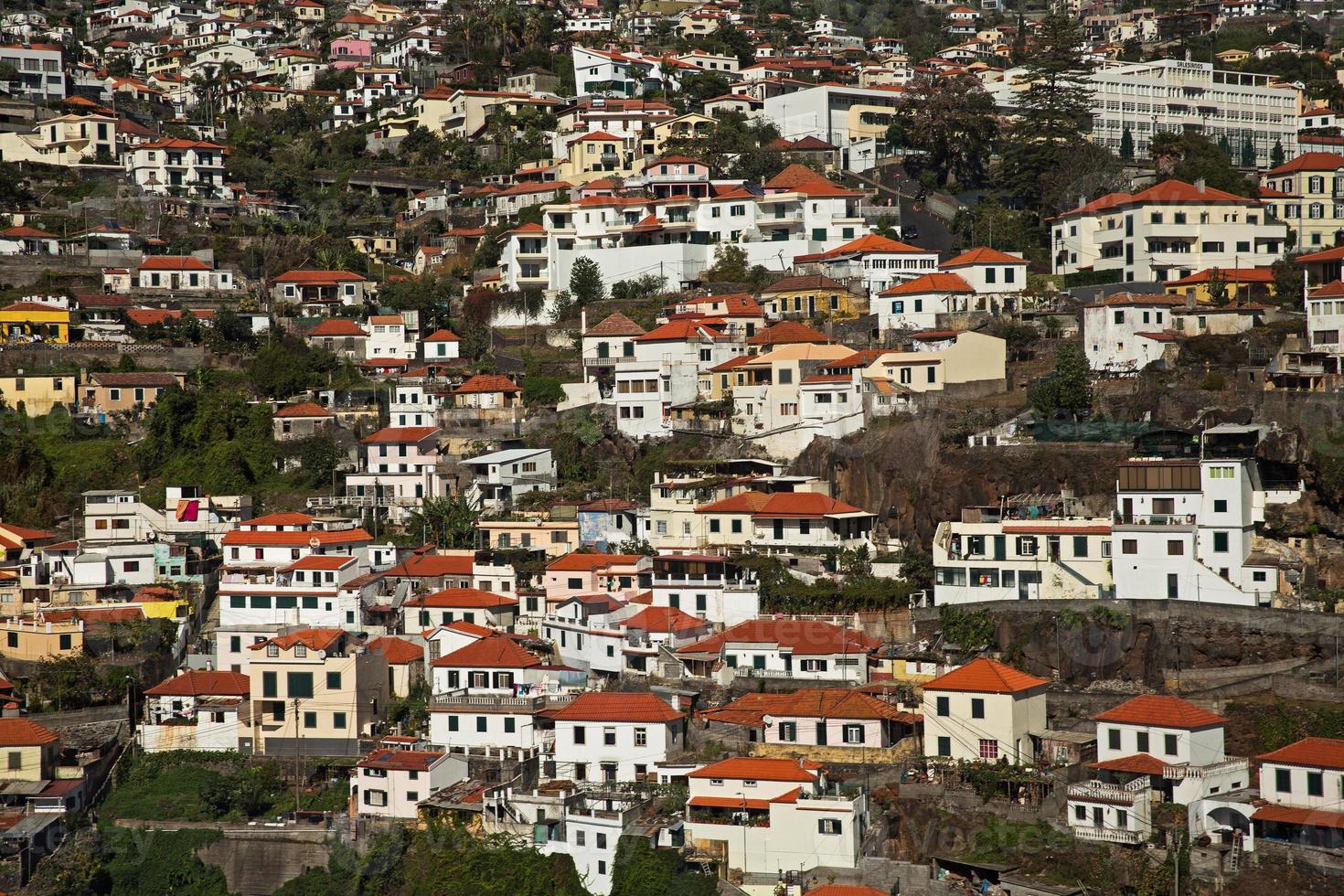 Big cluster of town houses photo