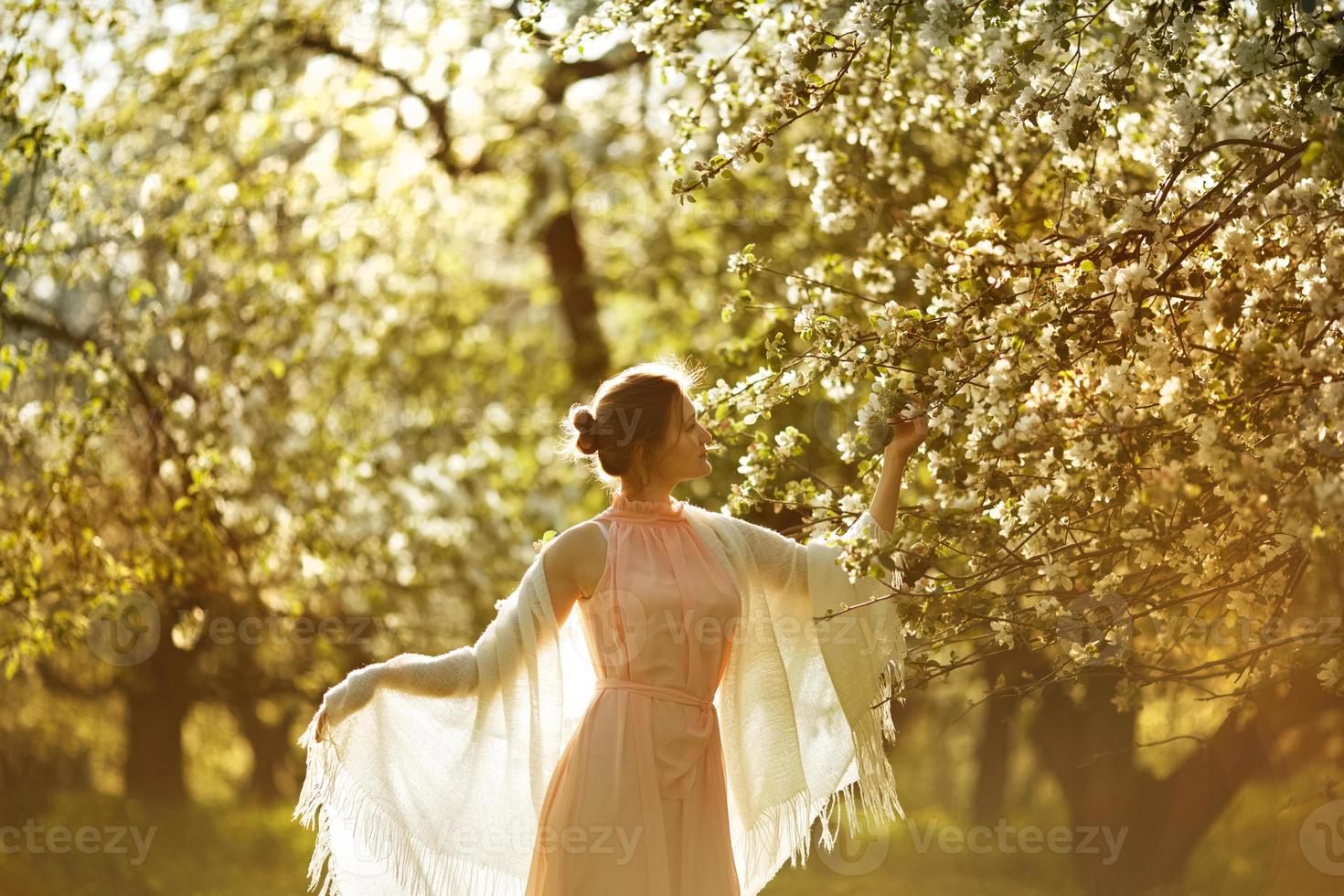 Woman in a dress near blooming apple tree photo