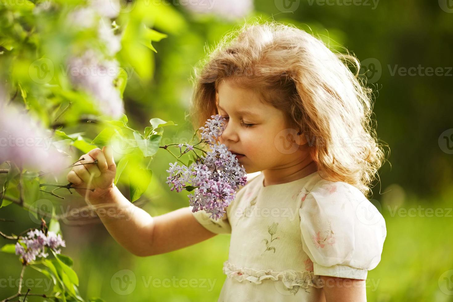 Girl inhales the aroma of lilacs photo