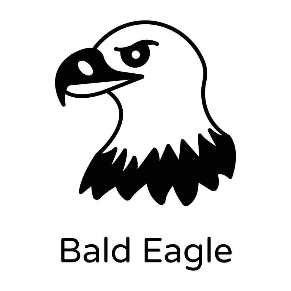 Sea Bald Eagle vector