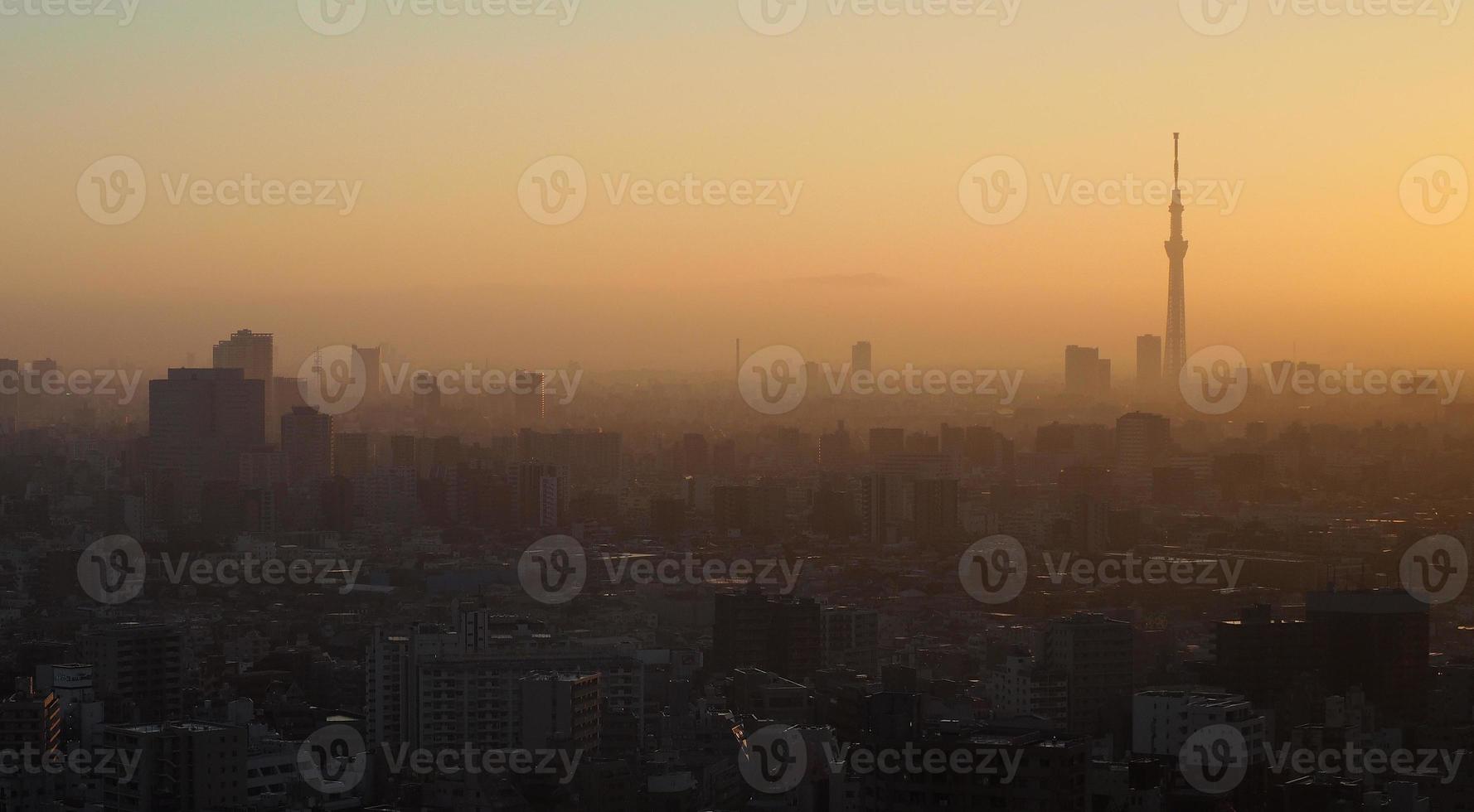 Aerial view of Tokyo City photo