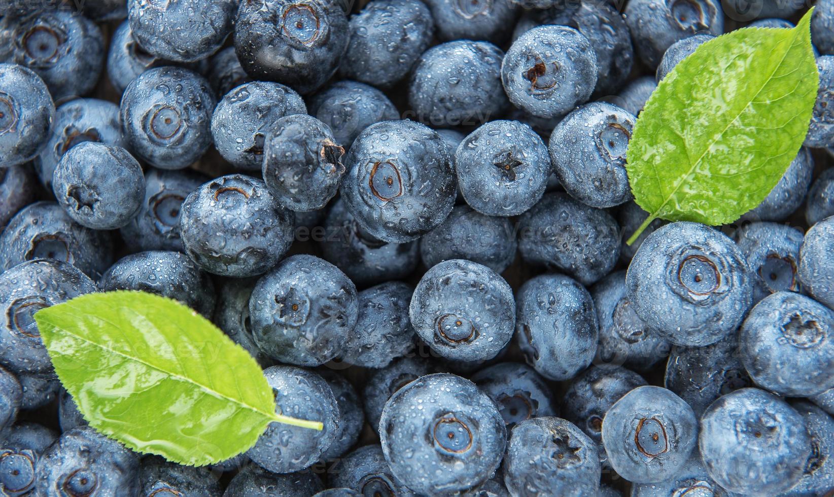 arándanos como fondo de alimentos naturales foto