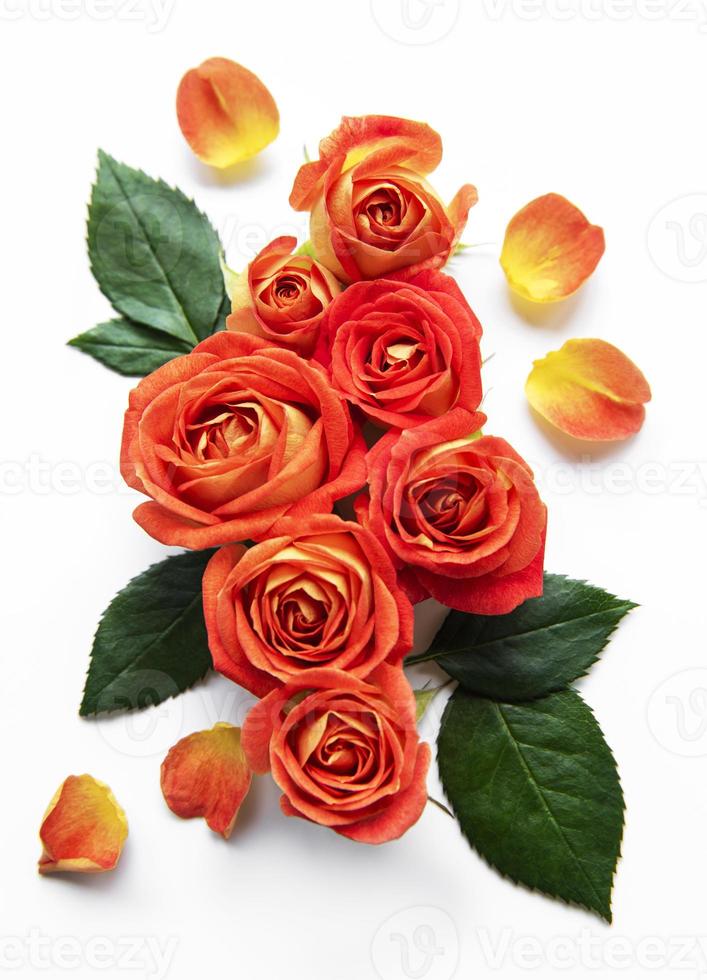 composición de flores. marco hecho de rosas rojas foto
