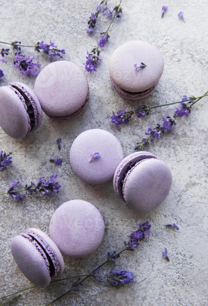 French macarons with lavender flavor photo