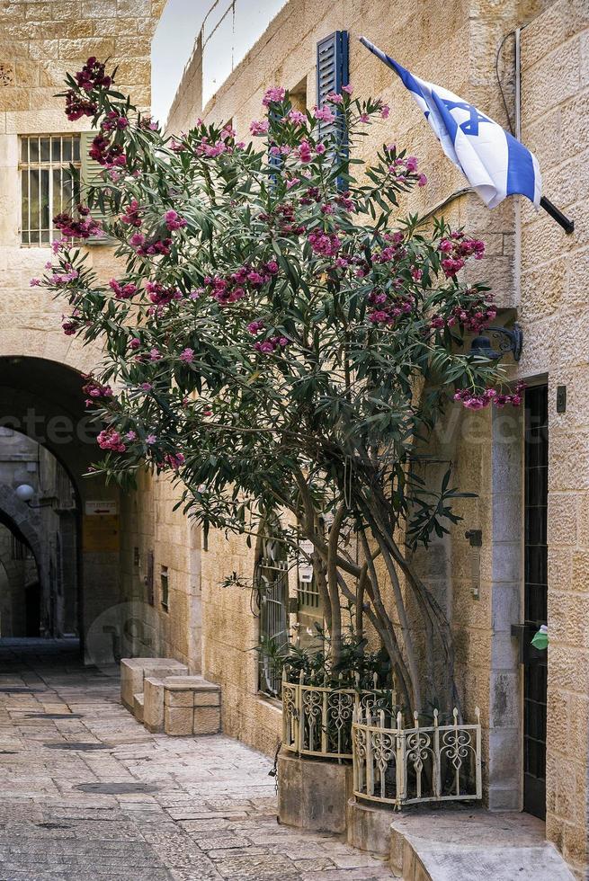 Old town cobbled street scene in ancient Jerusalem city Israel photo