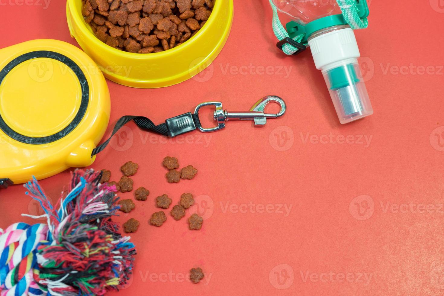 Bowls with food, automatic leash, rope and bottle of water for dog photo