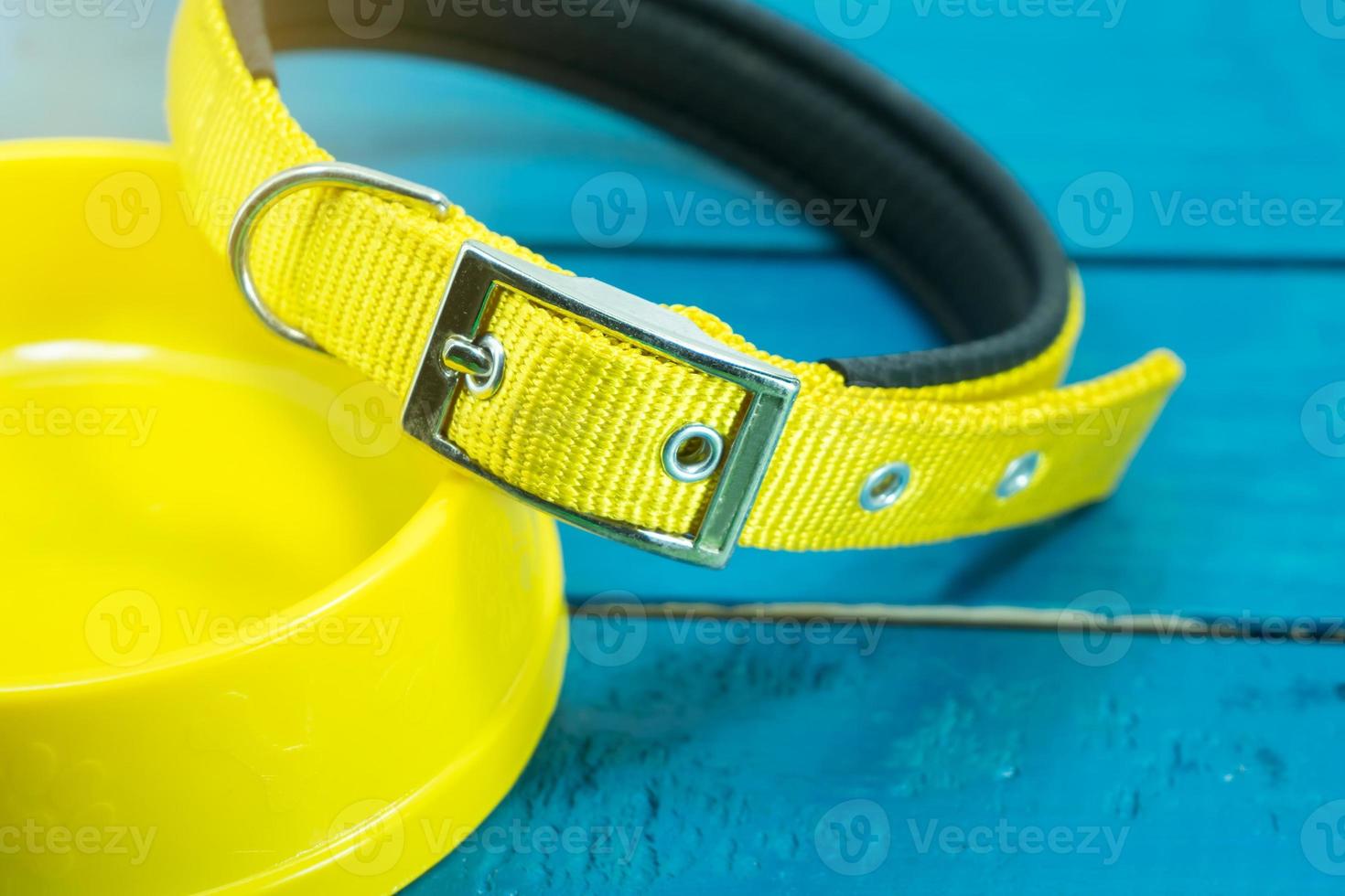 Pet collars and Bowls of yellow on wooden background. photo
