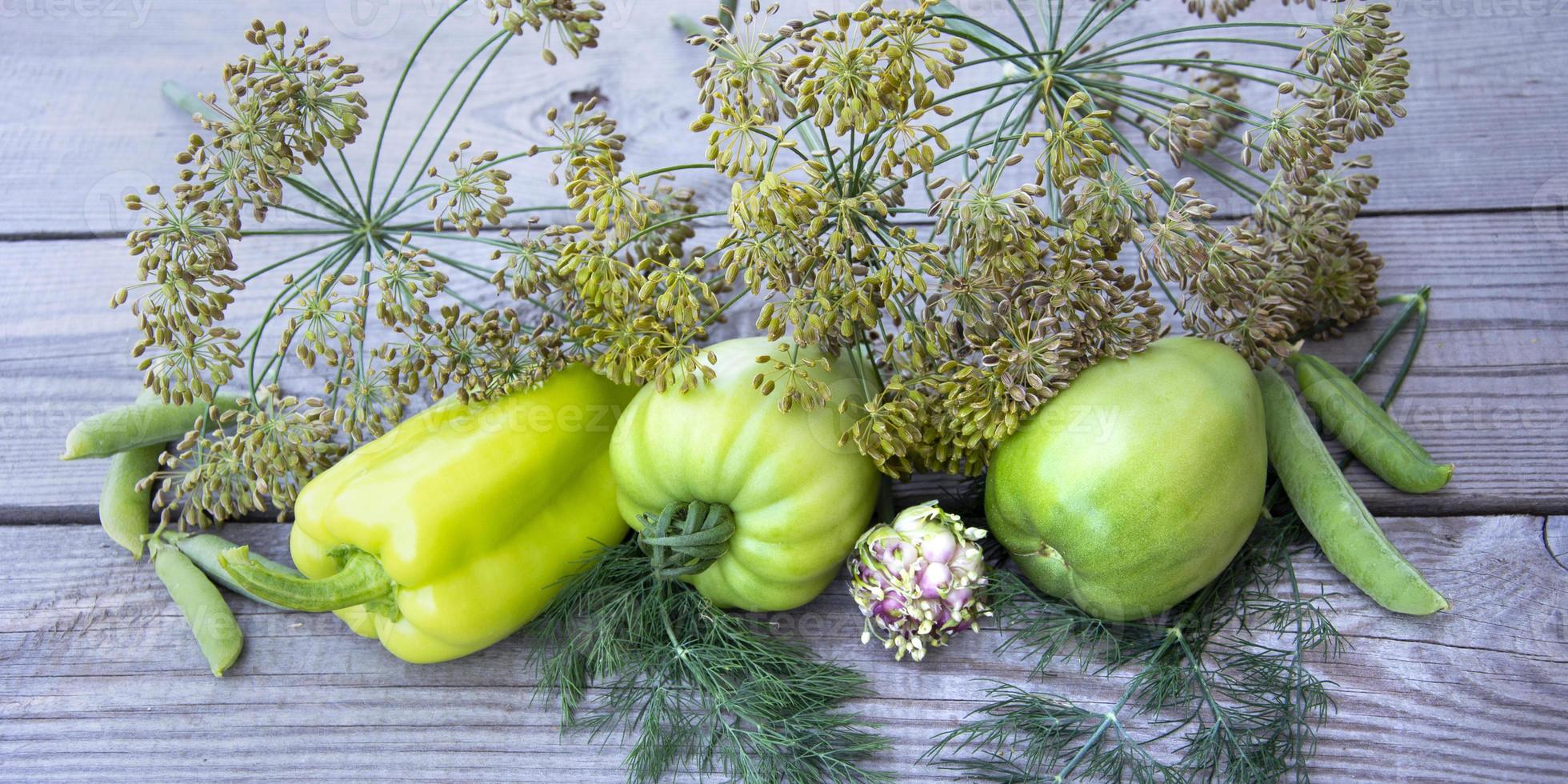 Bell pepper, green tomato and dill umbrellas lie in a row photo