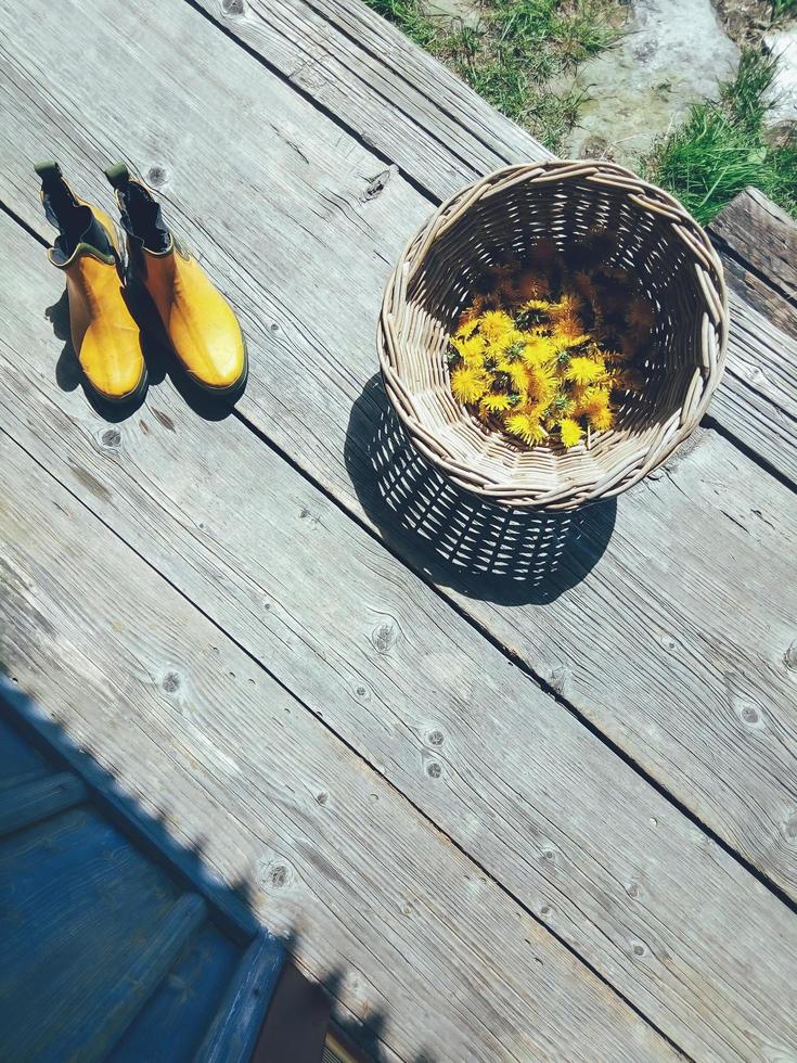 Yellow fresh dandelion flower heads in wicker bowl, rubber gardening ankle boots on wooden veranda background. Still life in rustic style. Daylight, hard shadows. Countryside lifestyle concept photo