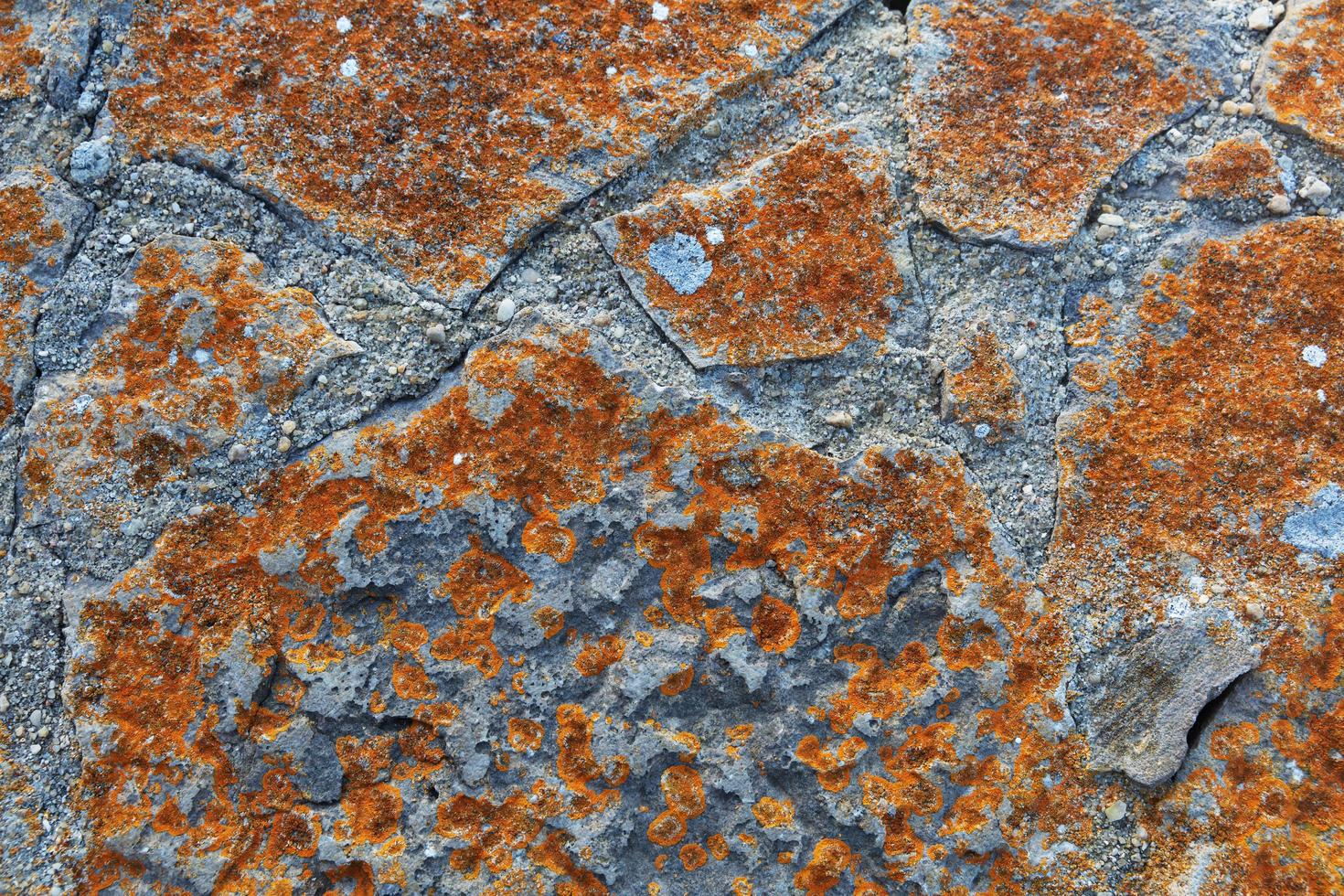 Cracked stone surface photo