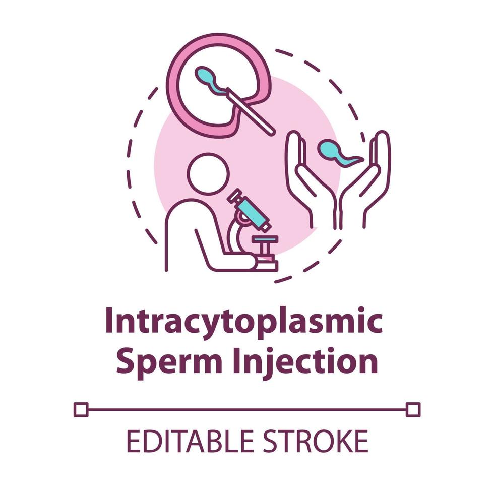 Intracytoplasmic sperm injection concept icon vector