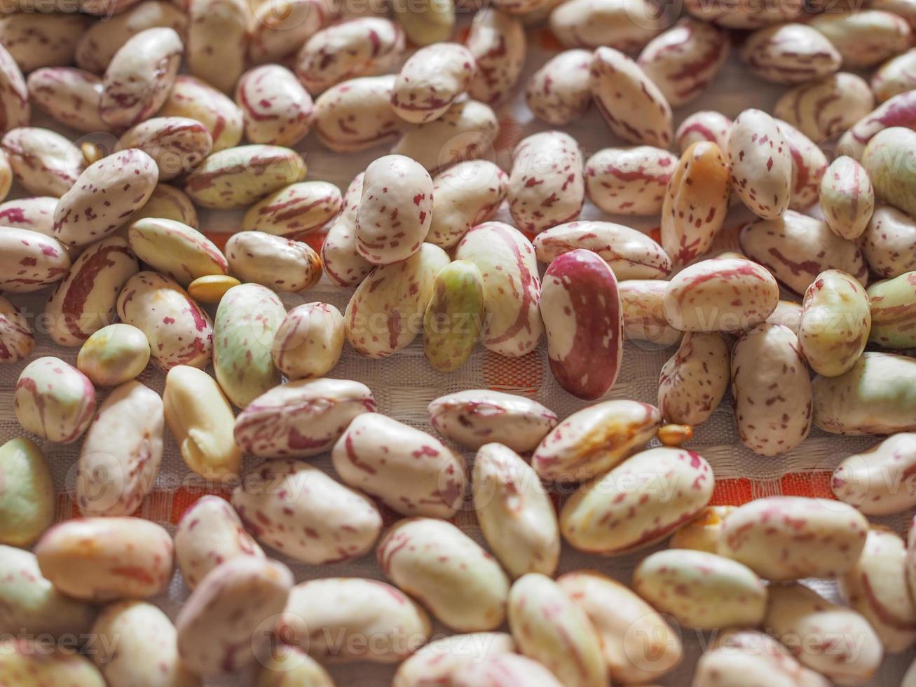 fondo de verduras frijoles carmesí foto