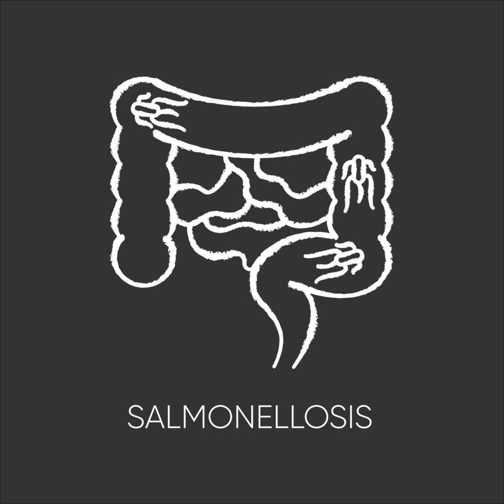 Salmonellosis chalk white icon on black background vector