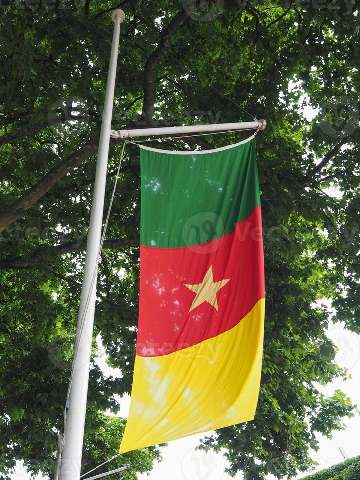 Cameroonian Flag of Cameroon photo