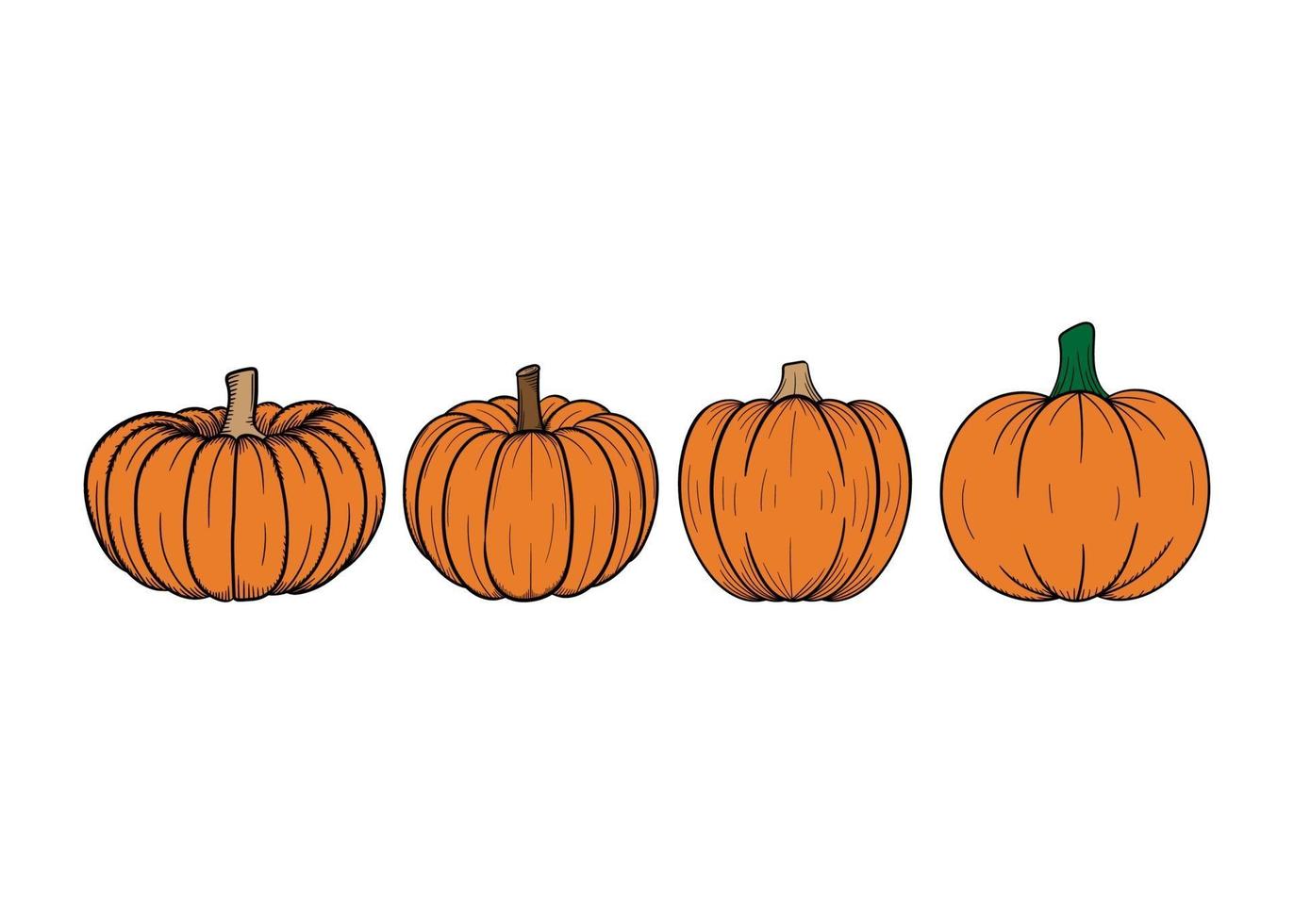 Pumpkin hand drawn illustration design template isolated vector