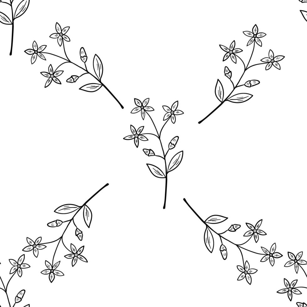 centaury, seamless b-w vector