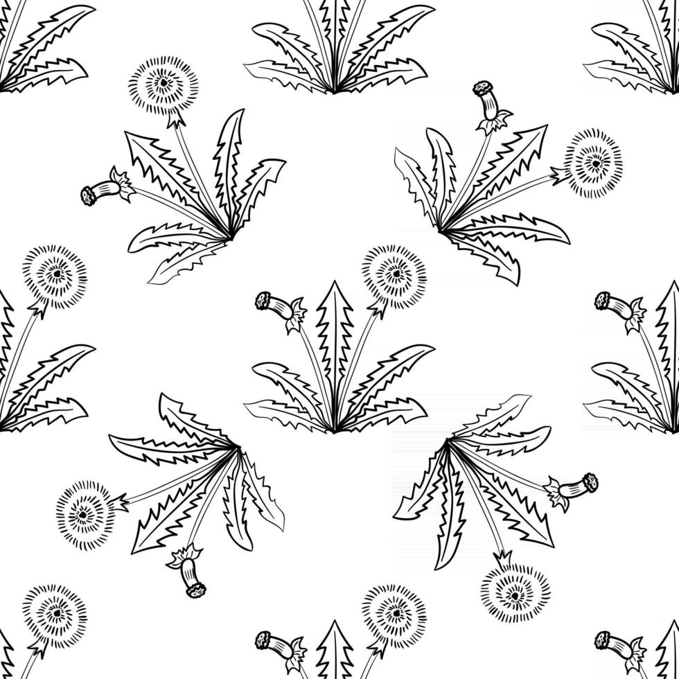 dandelion, seamless b-w vector