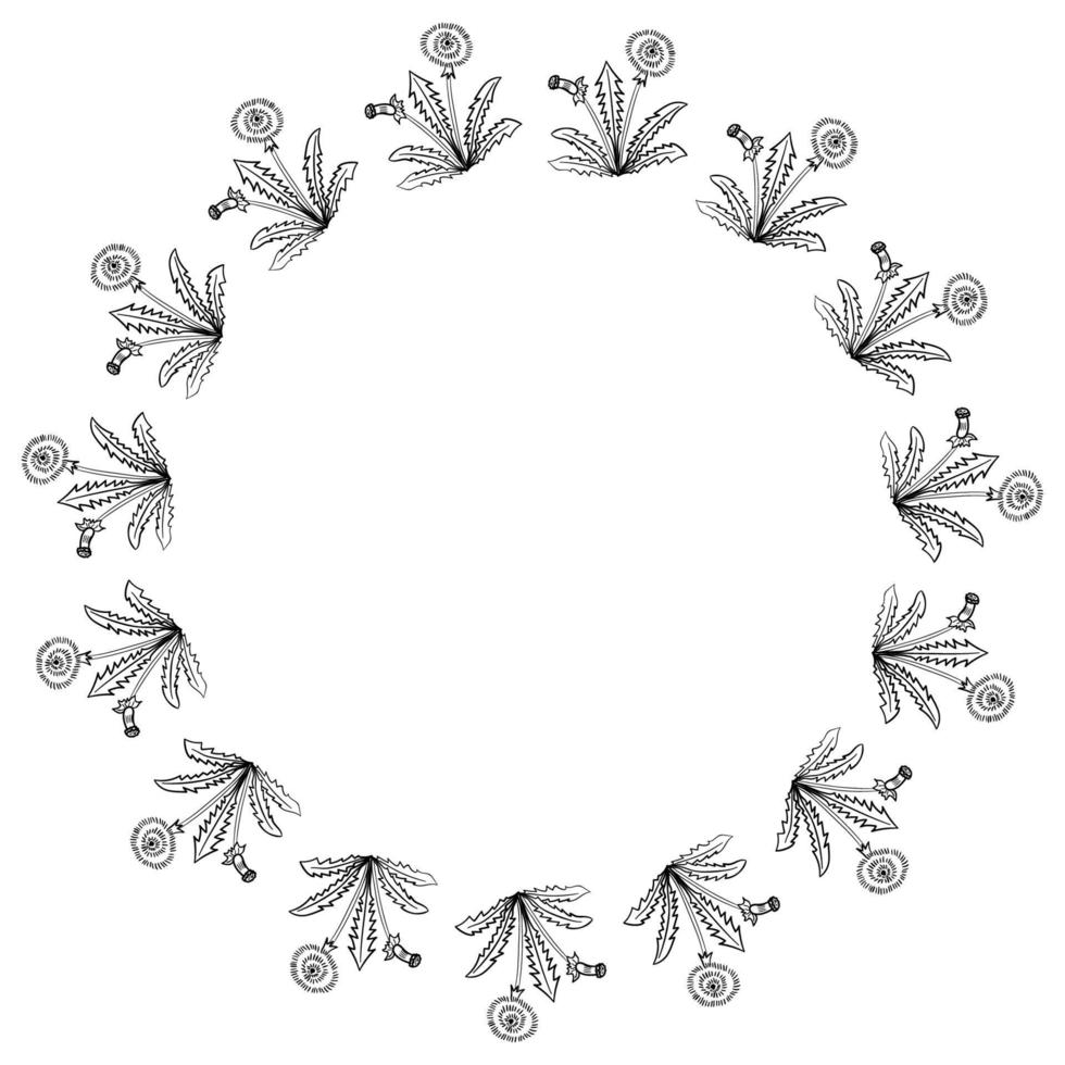 dandelion frame border vector