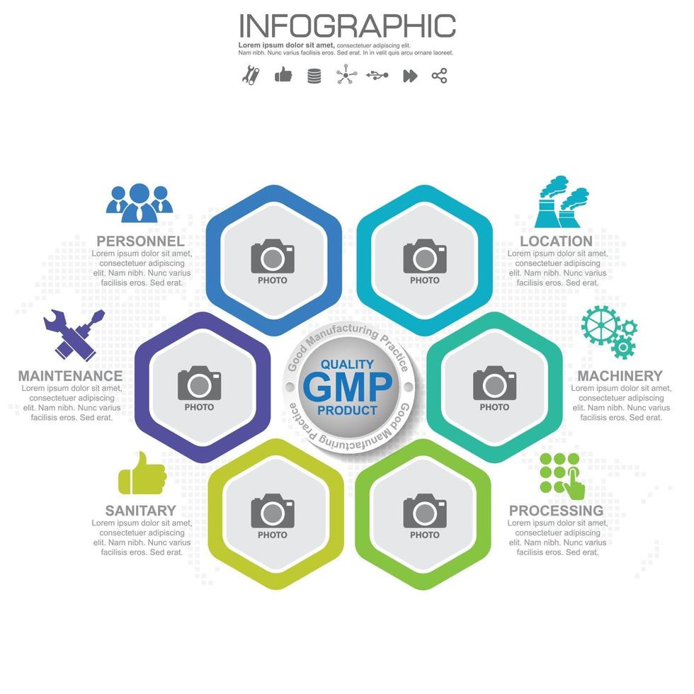 GMP infographic with steps or processes. vector