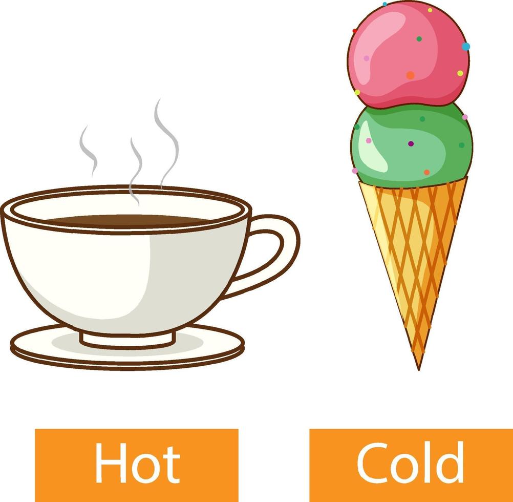 Opposite adjectives words with hot and cold vector