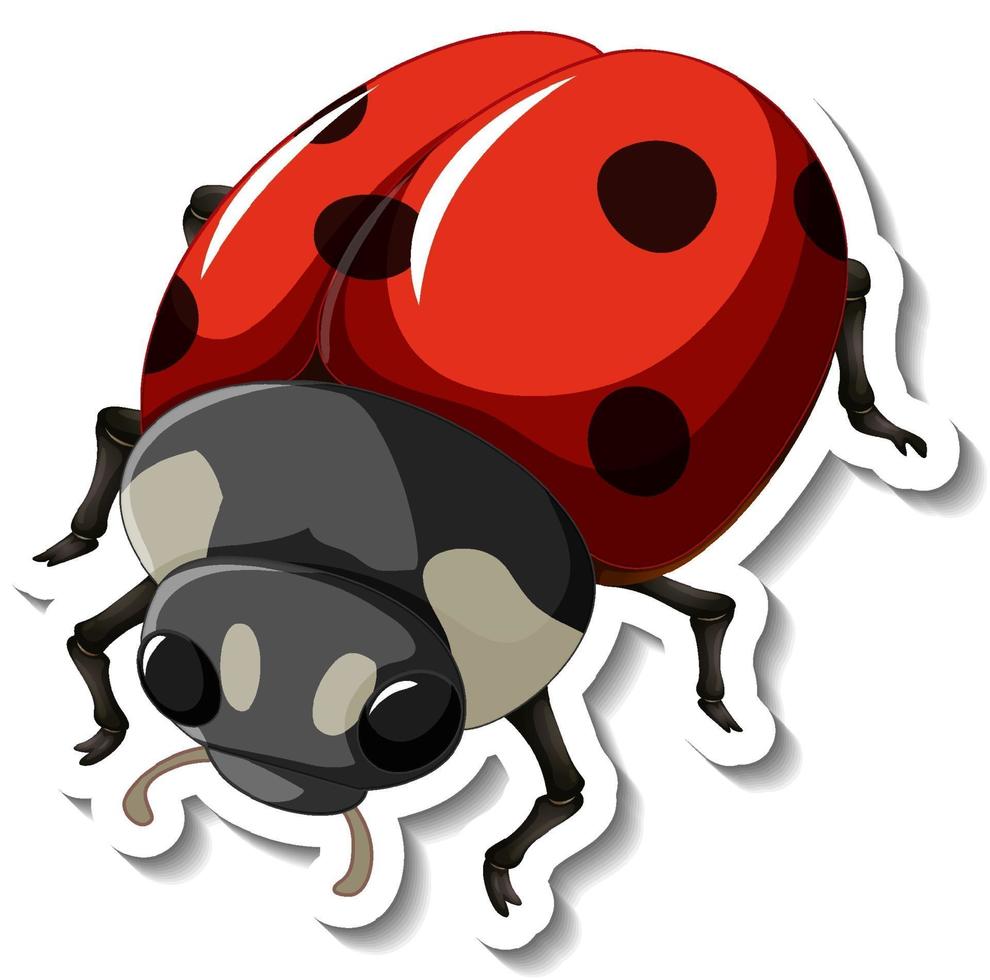 A sticker template with a red ladybug isolated 23 Vector Art Inside Blank Ladybug Template