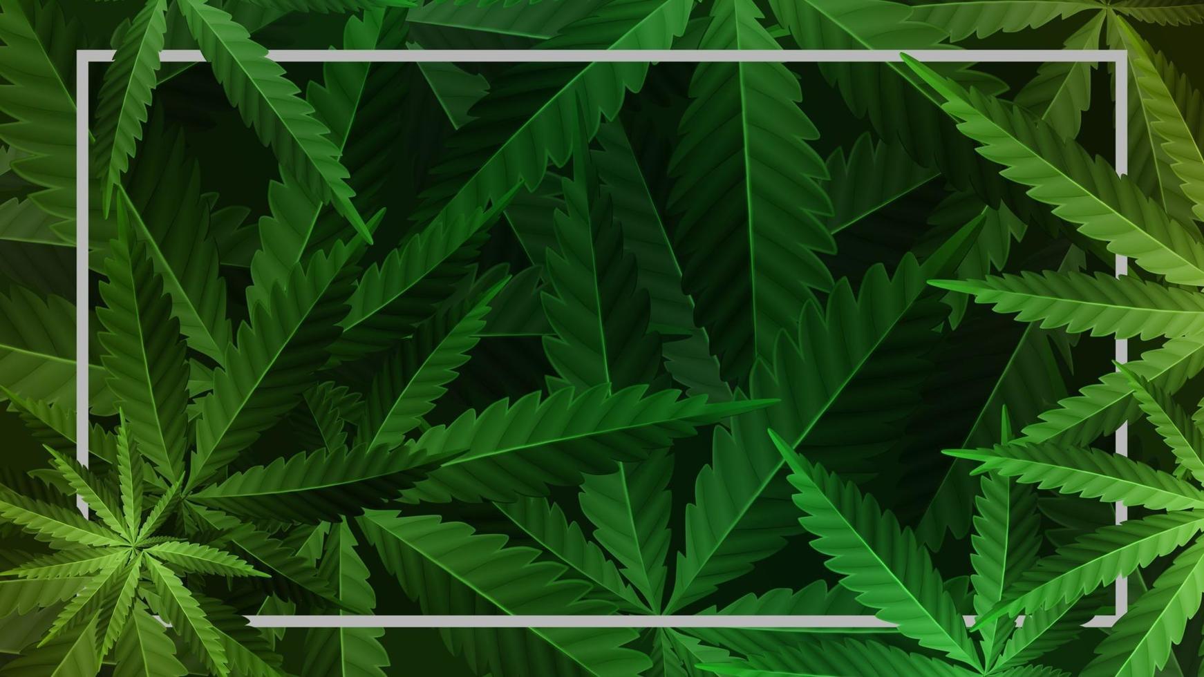 Rectangular frame decorated with cannabis foliage vector