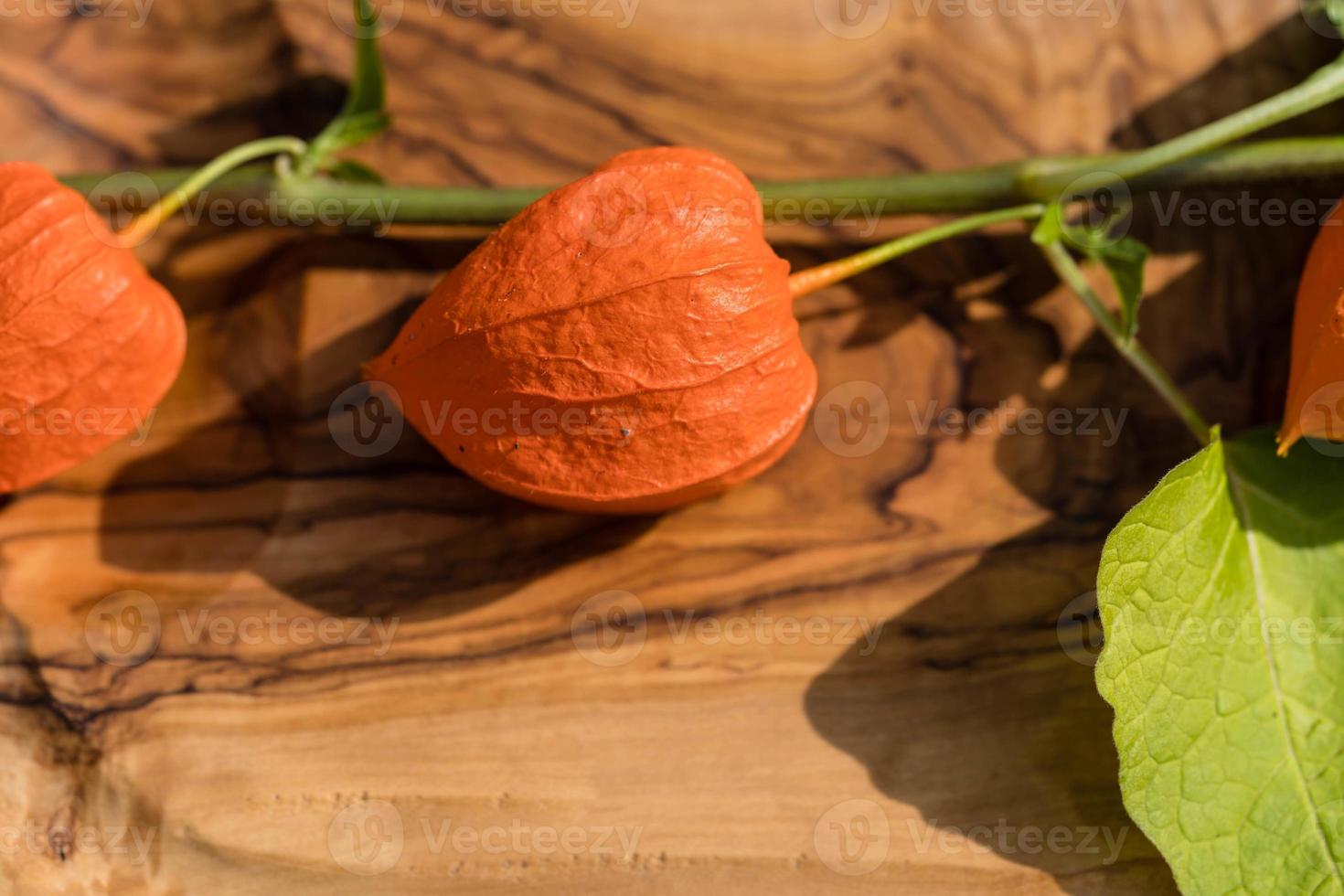 la fruta naranja physalis peruviana foto