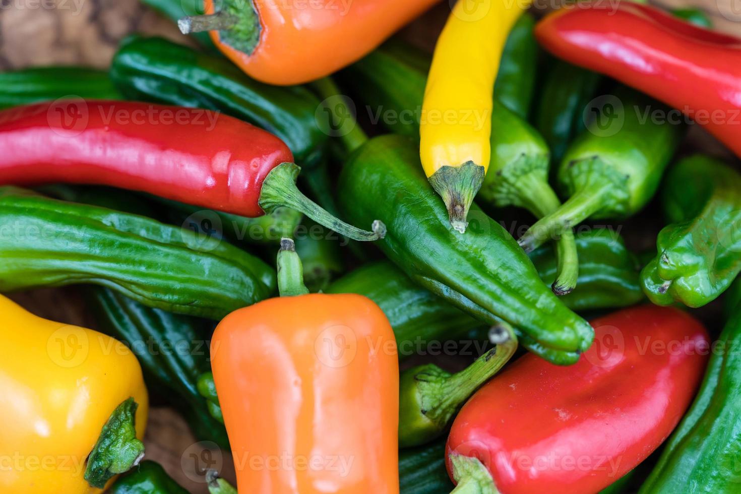 Pimentos de Padron spanish pepper photo