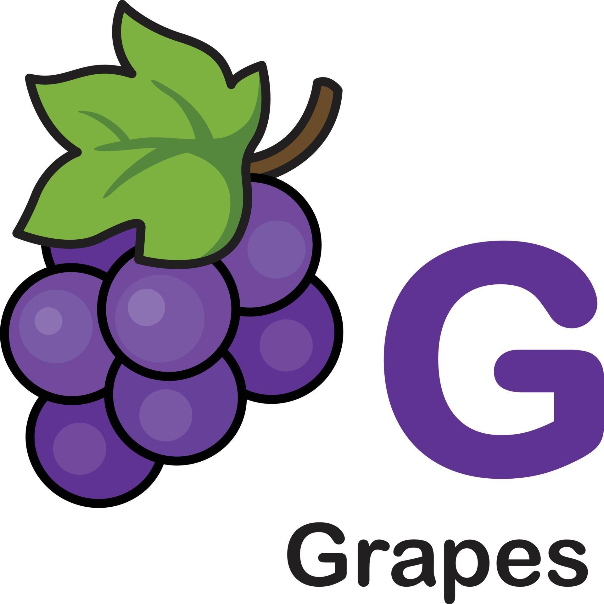 Виноград на англ. Буква в виноград. Letter g grape. Grapes g. Буква в виноград алфавит.