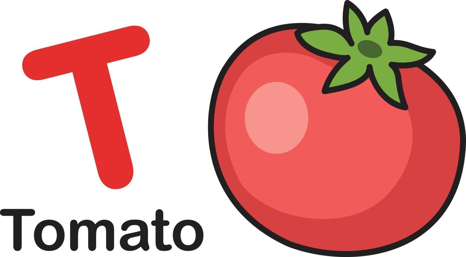 Alphabet Letter T-Tomato vector illustration