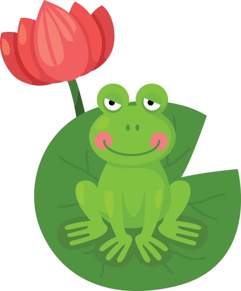 Cartoon frog on lotus leaf illustration, vector