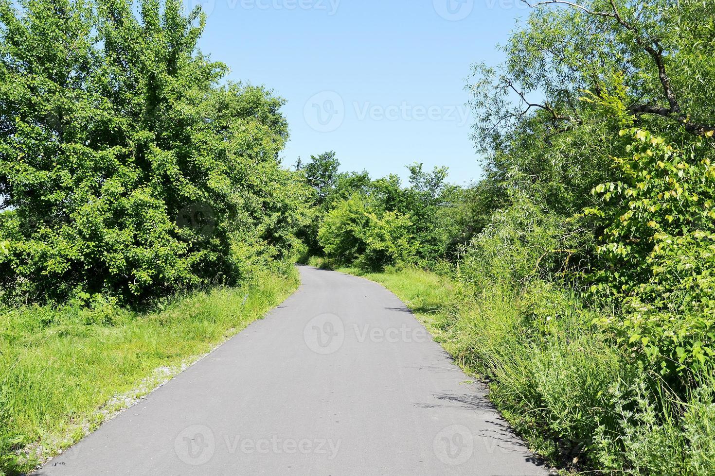 Hermosa carretera de asfalto vacía en el campo sobre fondo de color foto