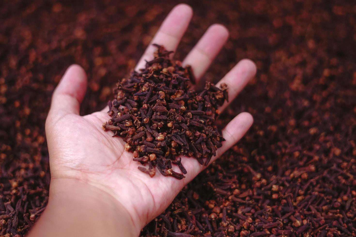 Hand with full of cloves photo