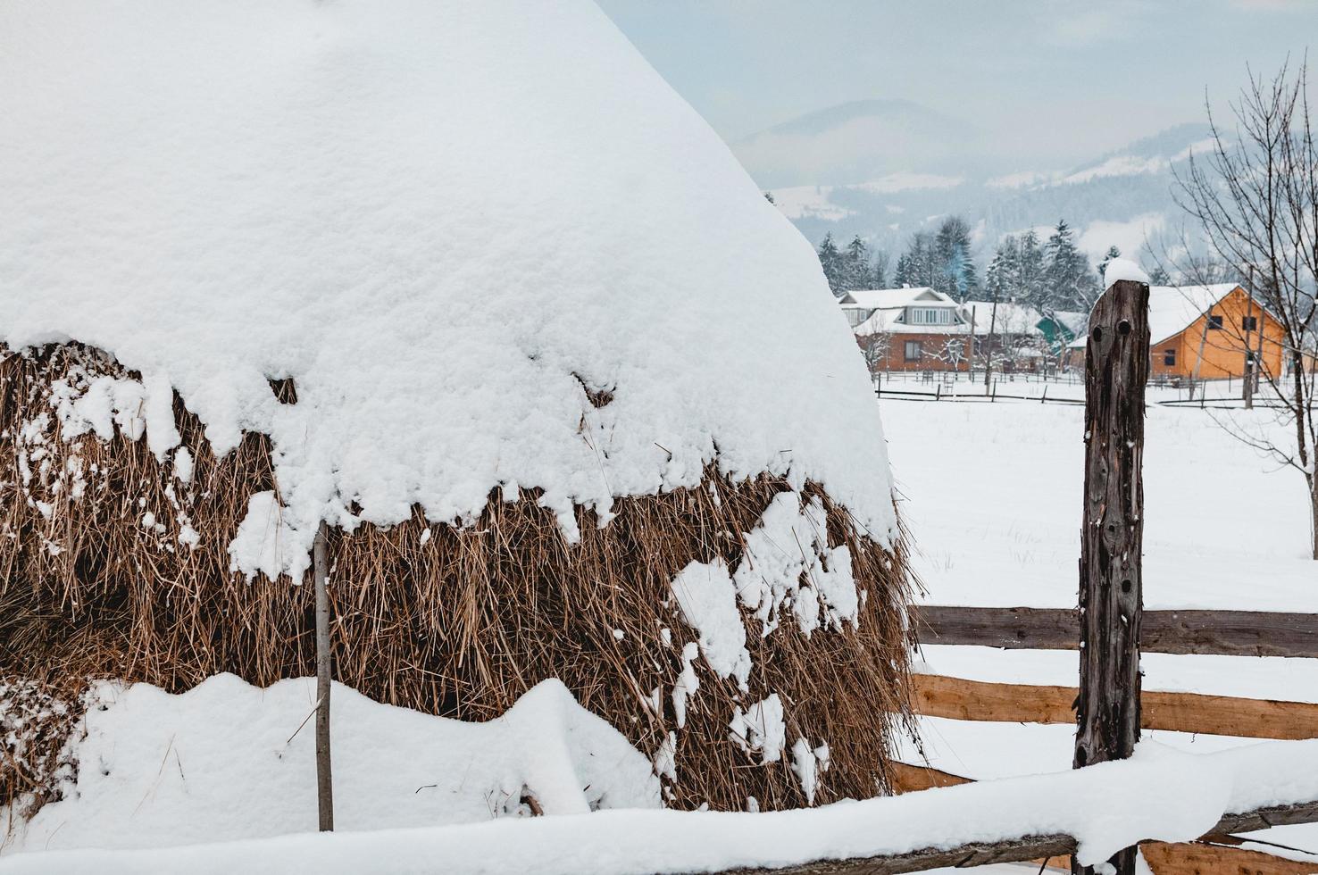 haystack covered with snow cap in winter photo