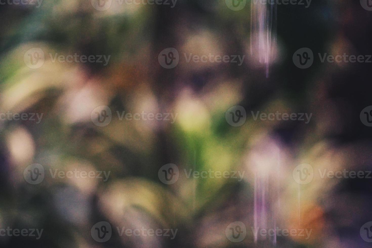 Defocused of foliage under the droplets of water rain. photo